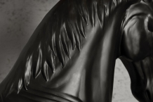 black beauty staande lamp